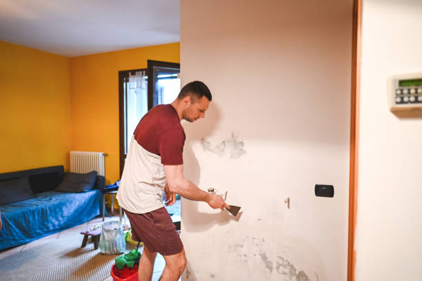 Best Same-Day Mold Removal  in Wagon Wheel, AZ